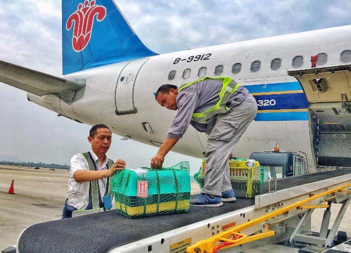 航空托運包裝(圖1)